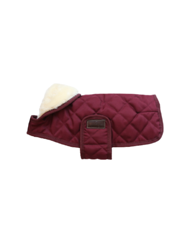 Manteau pour chien original - Bordeaux 52104 Kentucky Chien