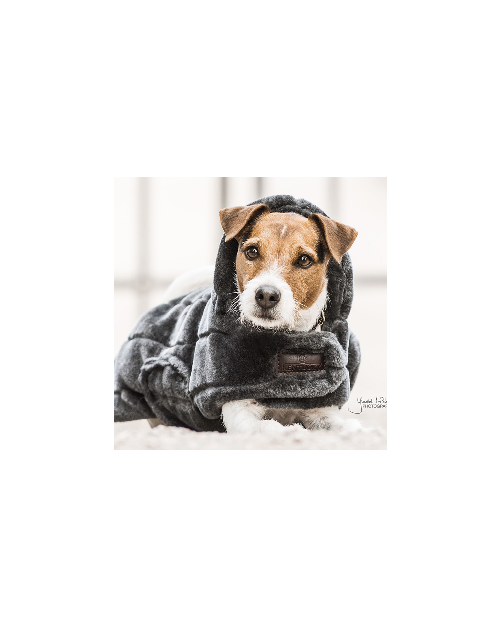 Manteau Fake Fur 52127 Kentucky Manteaux pour chien