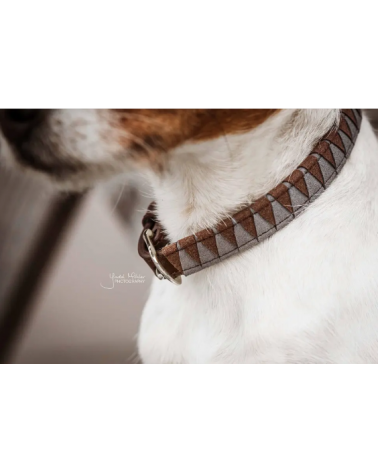 Collier Pour Chien - Triangle 42523 Kentucky Collier