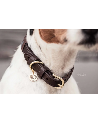 Collier Pour Chien - Triangle 42523 Kentucky Collier