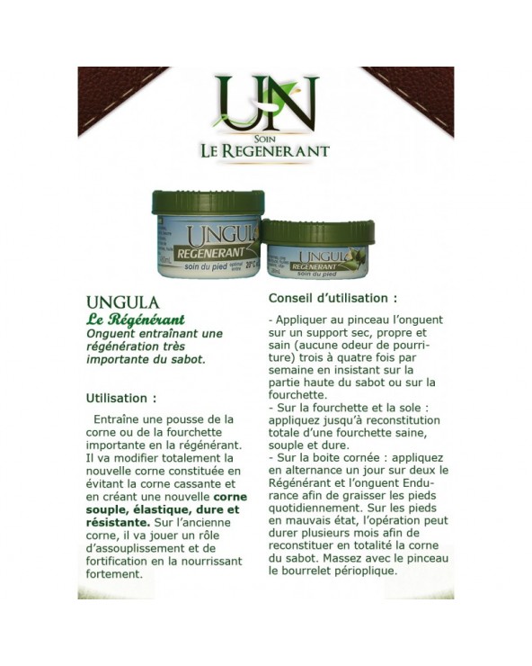 UNGULA Régénérant 280ml  ungula Accueil