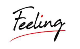 Feeling