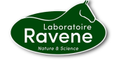 RAVENE